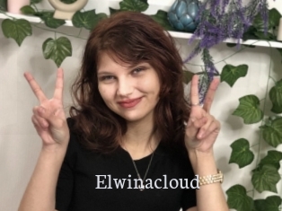 Elwinacloud