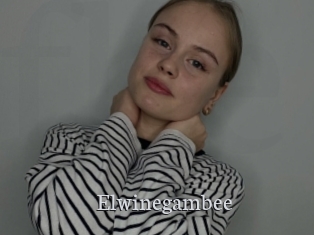 Elwinegambee
