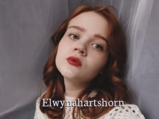 Elwynahartshorn