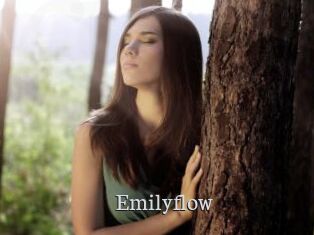 Emilyflow