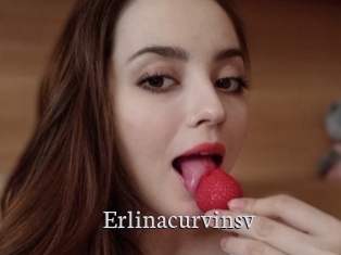 Erlinacurvinsv