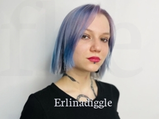Erlinadiggle