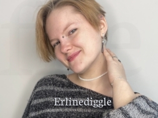 Erlinediggle