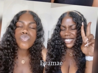Evamae