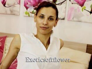 Exoticsoftflower