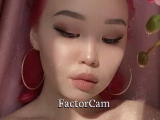 FactorCam