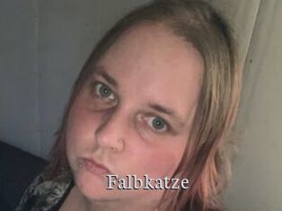 Falbkatze