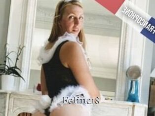 Feline18