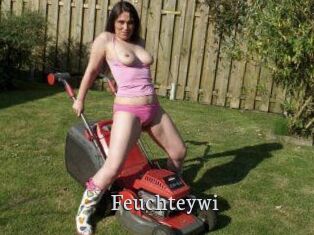 Feuchteywi