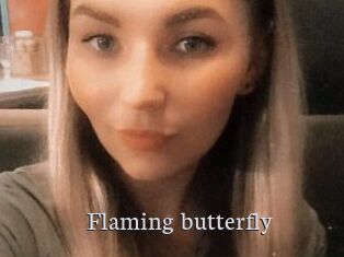 Flaming_butterfly