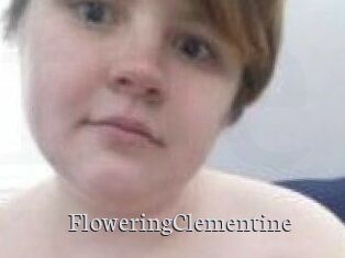 FloweringClementine