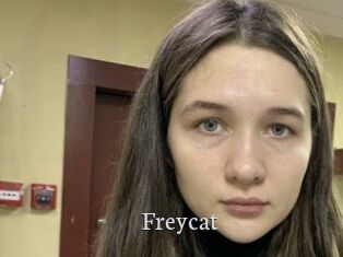 Freycat