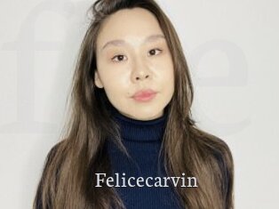 Felicecarvin
