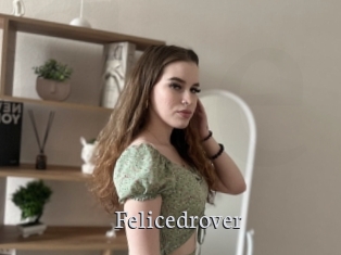 Felicedrover