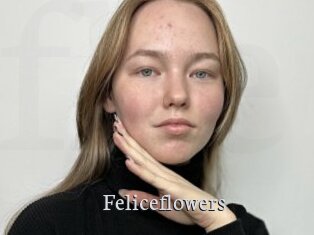 Feliceflowers