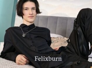 Felixburn