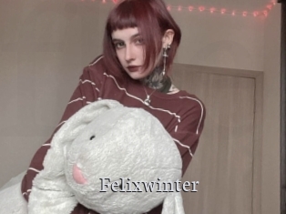 Felixwinter