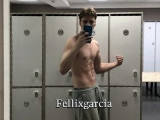 Fellixgarcia