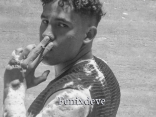 Fenixdeve