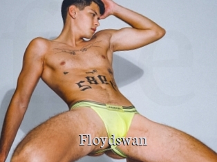 Floydswan