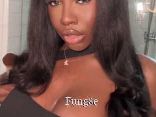 Fung8e