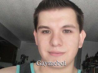 Gaymeboi