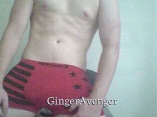 GingerAvenger