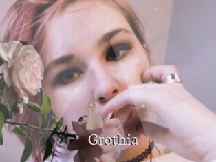 Grothia