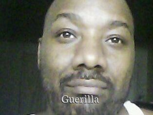 Guerilla Free Host Empire