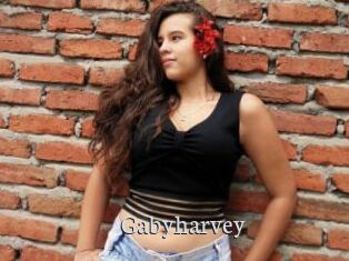 Gabyharvey