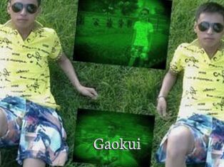 Gaokui