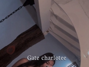 Gate_charlotee