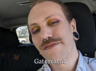 Gatorcatnb