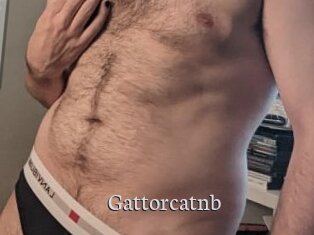 Gattorcatnb