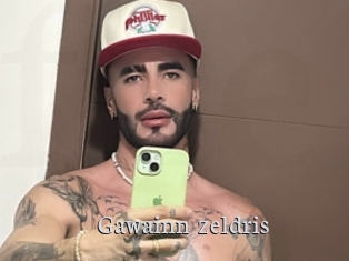 Gawainn_zeldris
