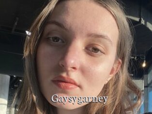 gaysygarney Free Host Empire