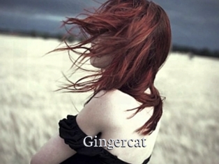 Gingercat