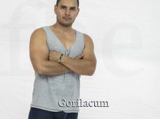 Gorilacum