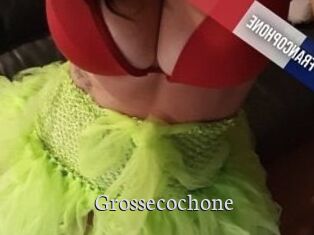 Grossecochone