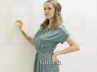 Gunesh