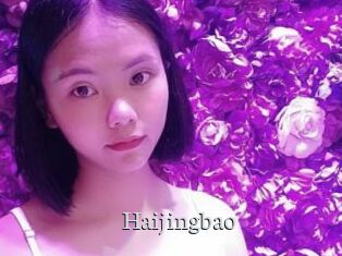 Haijingbao