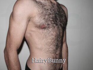 HairyBunny