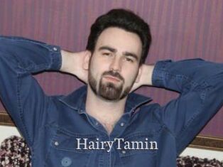 HairyTamin