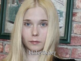 HaleyBoley
