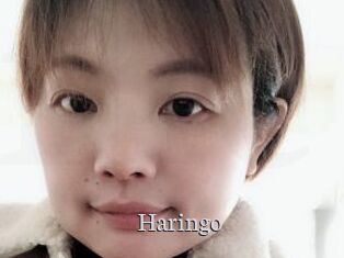 Haringo