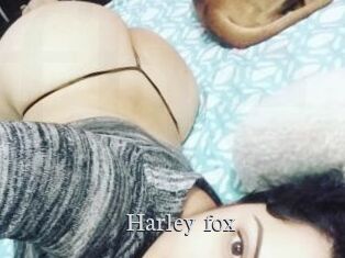 Harley_fox