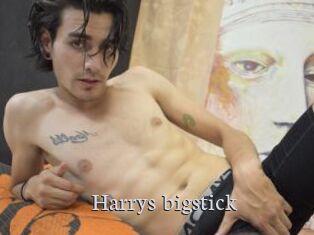Harrys_bigstick