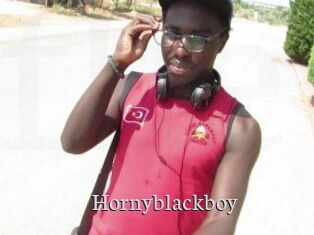 Hornyblackboy