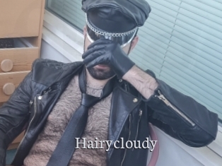 Hairycloudy
