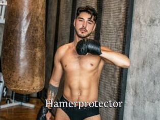 Hamerprotector